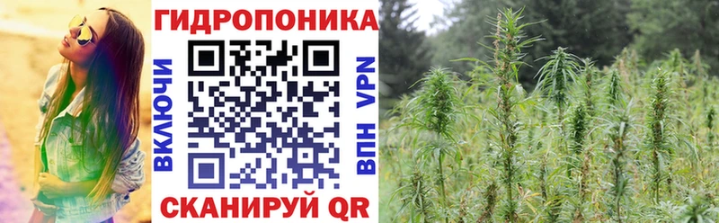 Шишки марихуана OG Kush купить Ржев